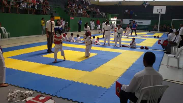 CAMPEONATO SERGIPANO 2015  (seletiva p o campeonato Brasileiro)